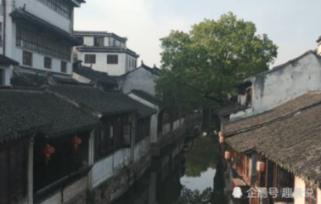 发面发不起来如何补救